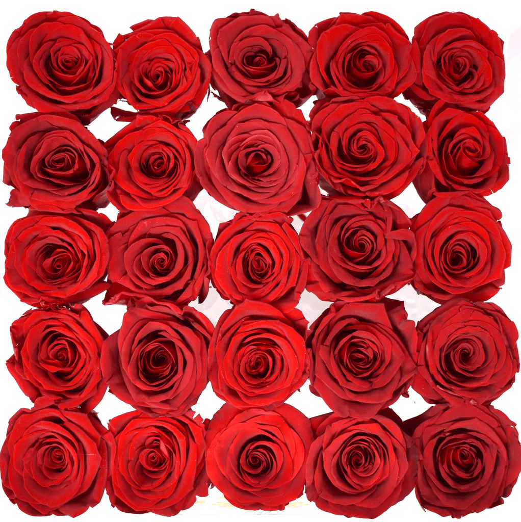 Eternal Rose Acrylic Boîte: Eternal Flowers