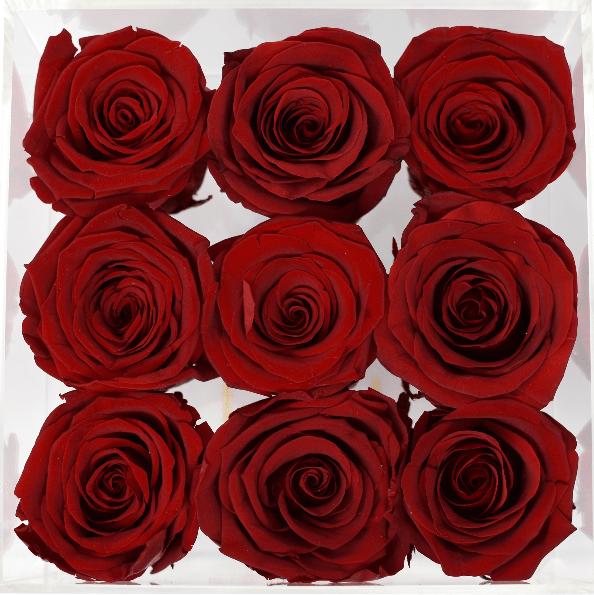 Eternal Rose Acrylic Boîte: Eternal Flowers